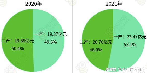 英吉沙县数据和政务服务局发展规划探讨与展望