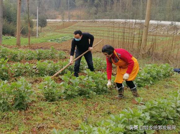 长寿区民政局最新动态报道及分析