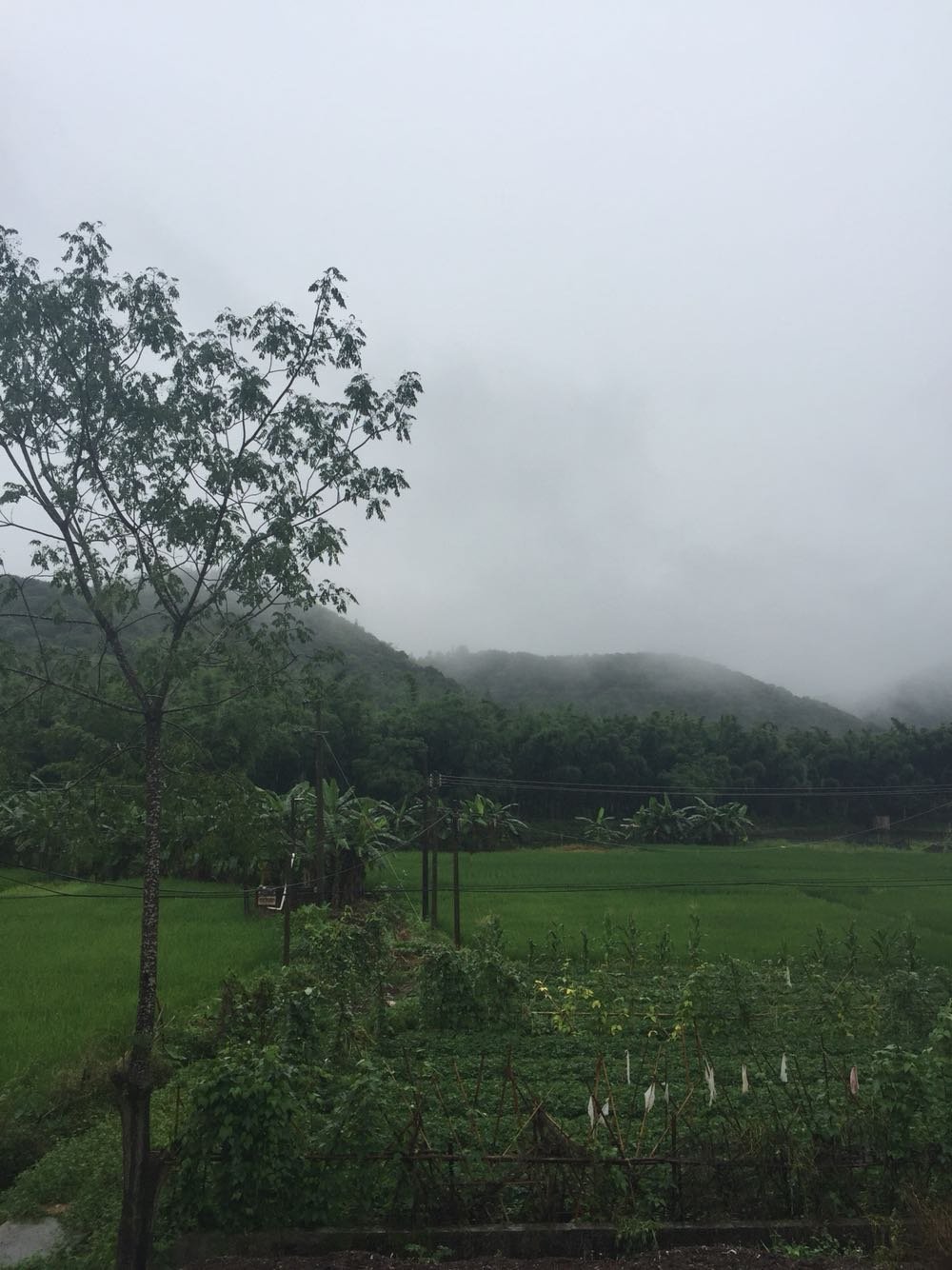 余田乡天气预报更新通知