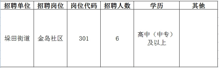 霞山区初中最新招聘公告概览