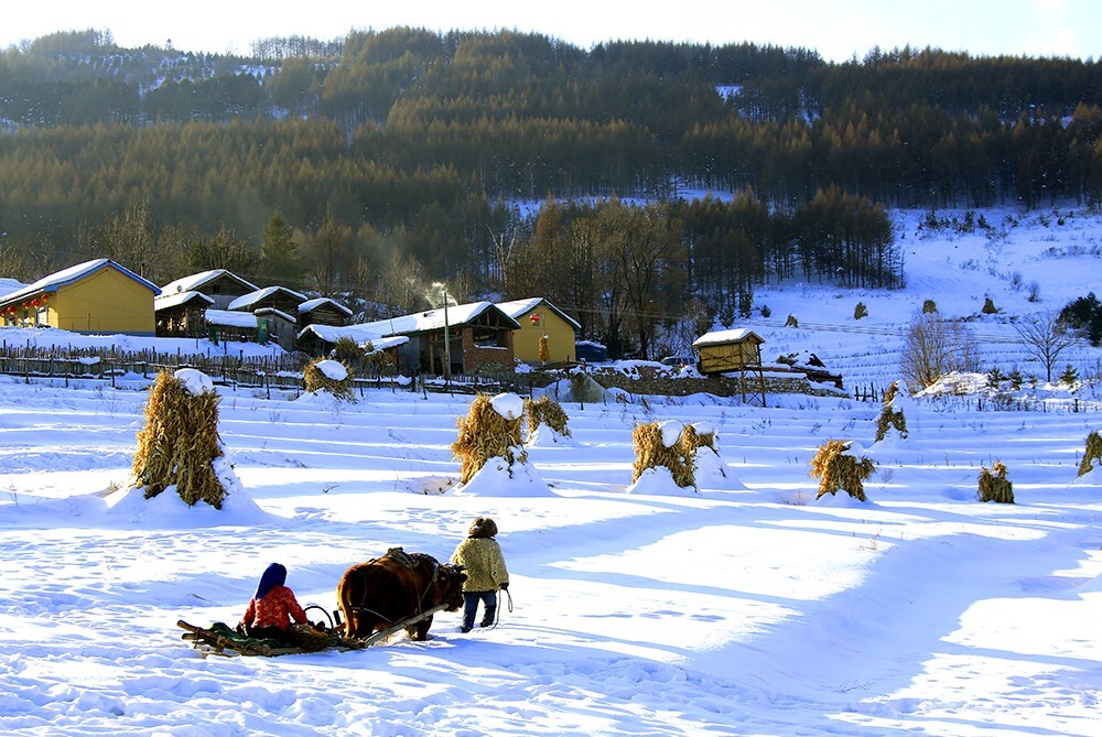 莎尔雪村天气预报更新