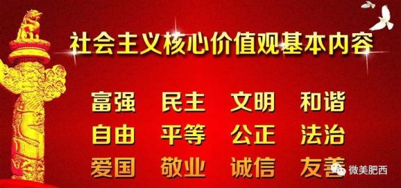 梅县统计局最新招聘信息全面解析