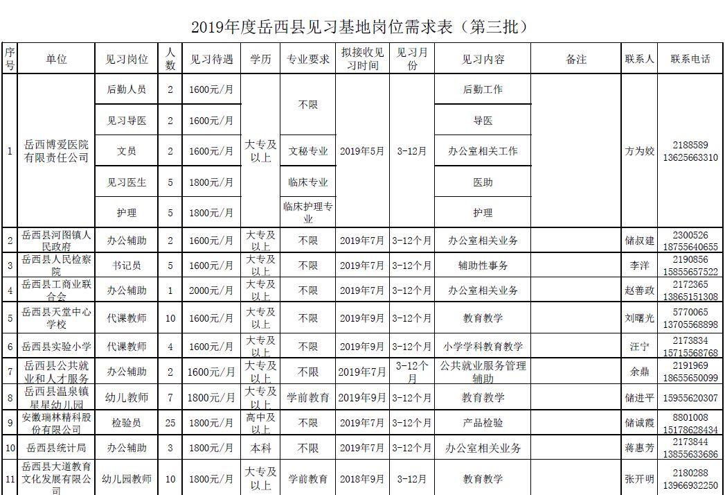 岳西县人民政府办公室最新招聘通告概览