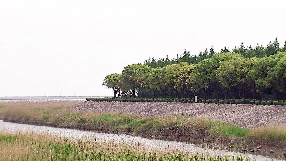 海虞镇未来繁荣新蓝图，最新发展规划揭秘