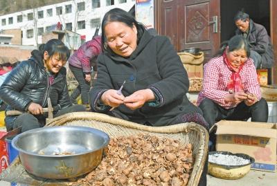 潘河乡未来蓝图，最新发展规划引领乡村重塑