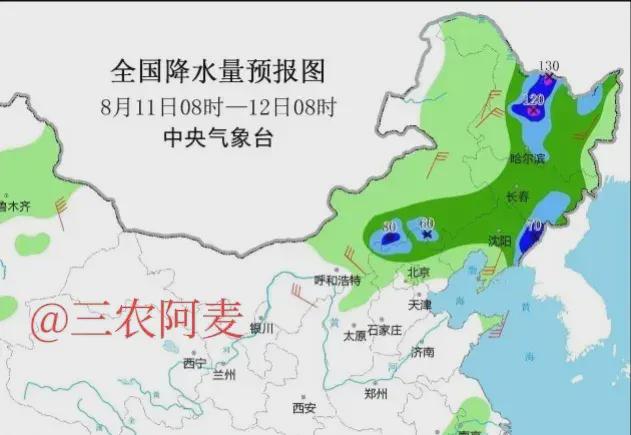 澧浦镇天气预报更新，最新天气状况及趋势分析