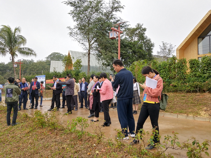 陈槽村委会最新项目，重塑乡村，走向繁荣