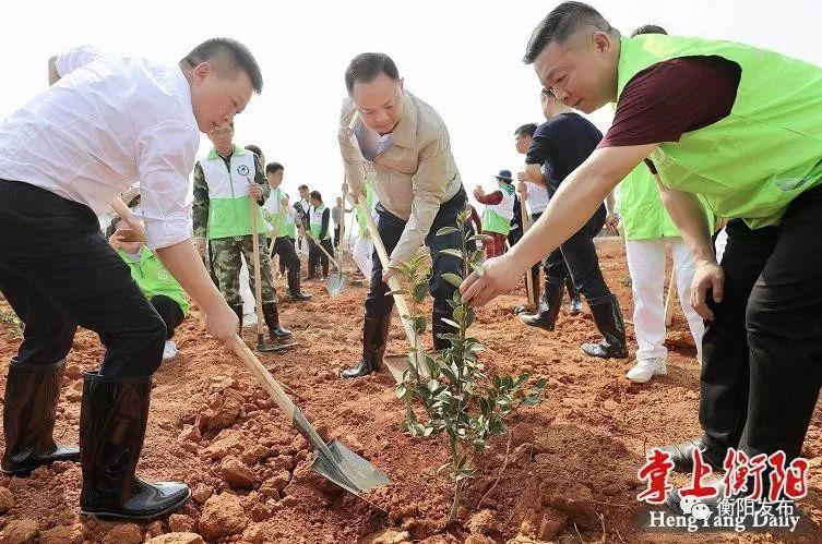 相市乡新领导团队引领未来，铸就辉煌成就