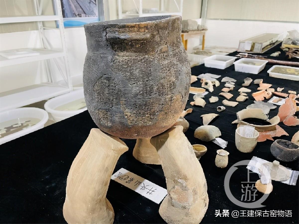 河姆渡镇，古镇焕发新活力，多元发展魅力展现新闻速递