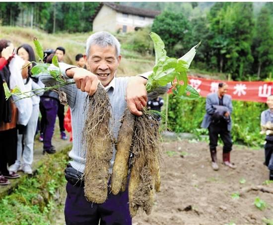 文成县人民政府办公室最新招聘信息详解