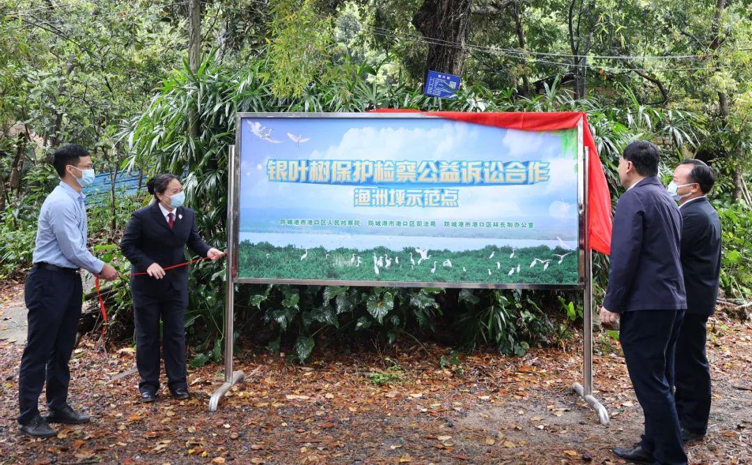 港口区渔州坪街道最新项目，推动城市发展与社区面貌革新