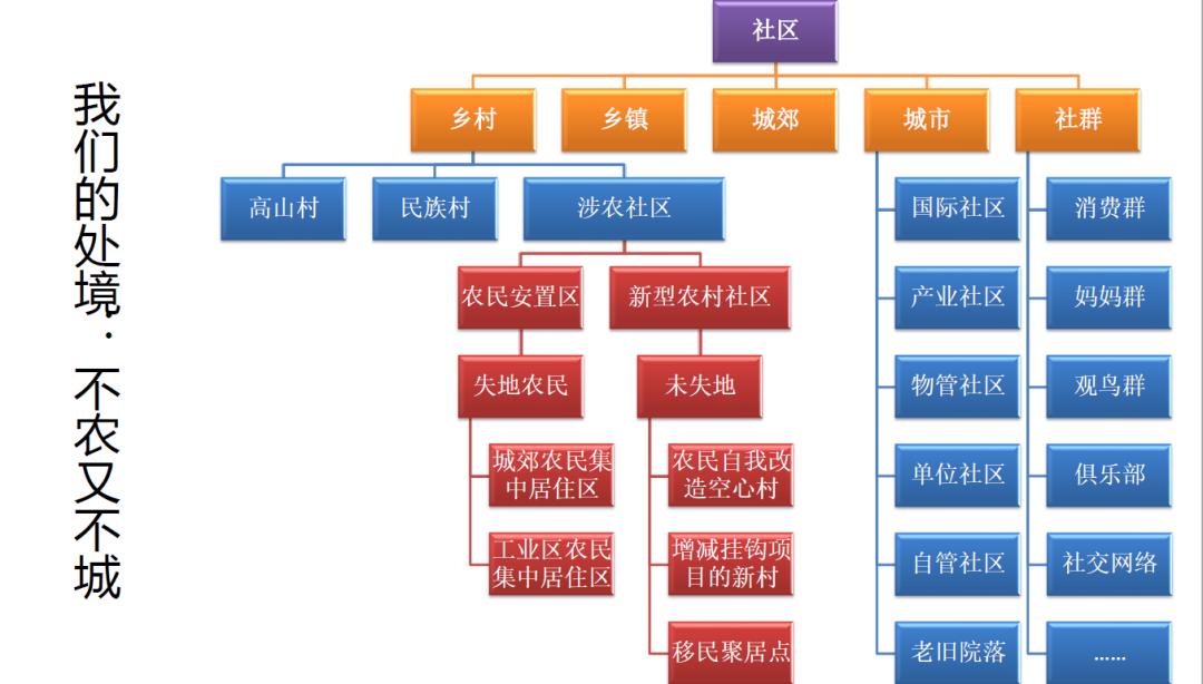 新津乡最新新闻报道概览