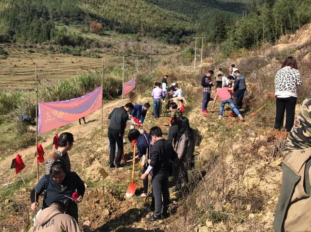 飞竹镇最新项目，引领地区发展的崭新动力