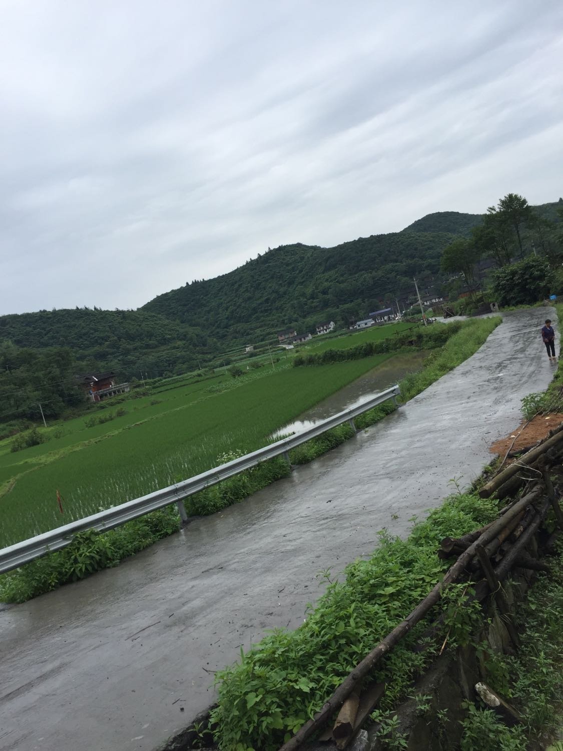 阳坪村天气预报更新通知