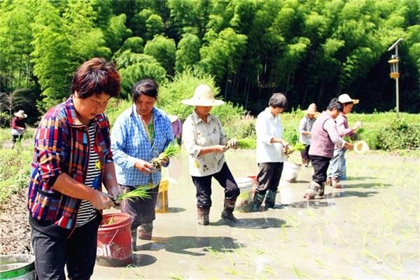 徽州区街道工委会天气预报更新通知