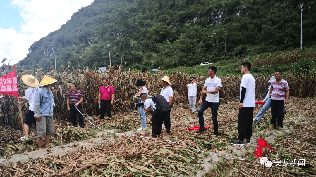 乡城县农业农村局新项目推动农业现代化，乡村振兴再添动力