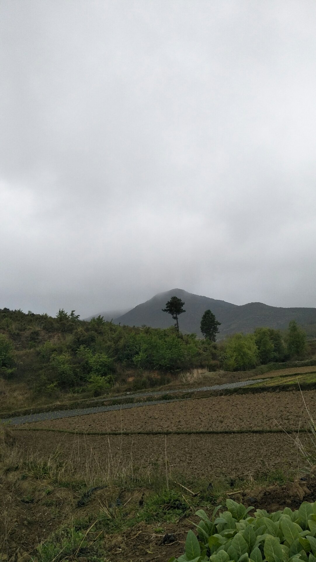 七步镇天气预报更新通知