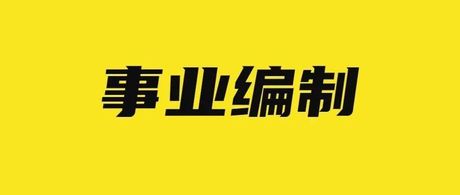 泉山区特殊教育事业单位招聘信息与解读速递