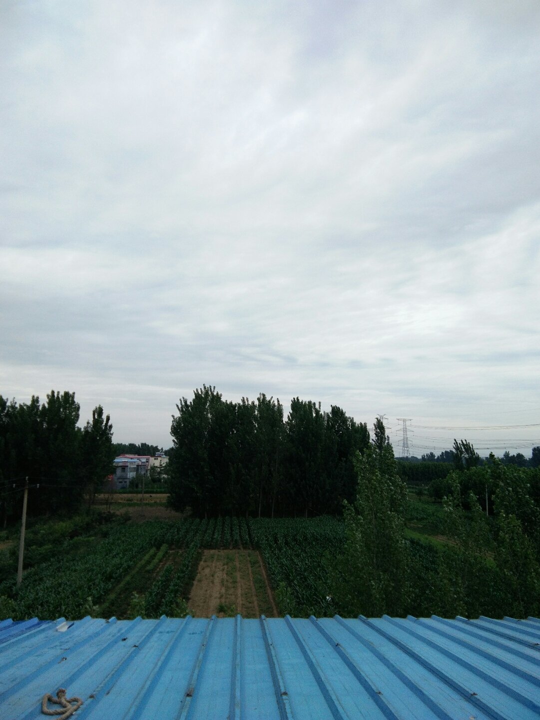 育林乡未来一周天气预报，天气变化及生活指南