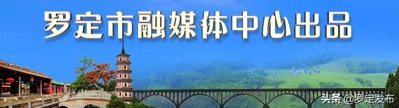 罗定市防疫检疫站项目最新进展与未来展望