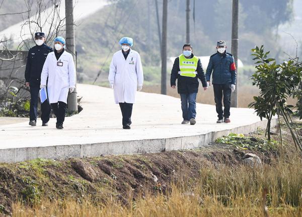 龙沙区防疫检疫站最新项目，筑建健康安全防线防线