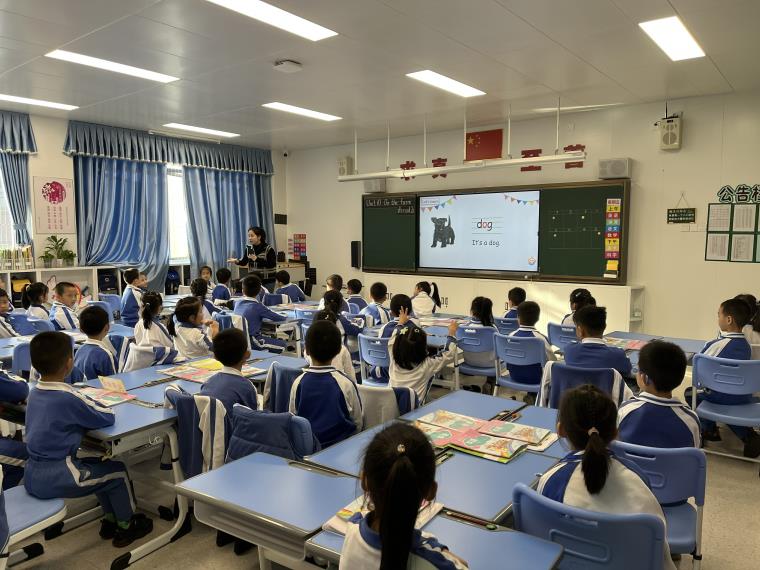 龙子湖区小学人事任命引领教育革新篇章