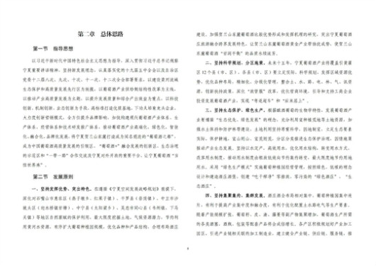 贺兰县审计局未来发展规划，塑造全新审计面貌