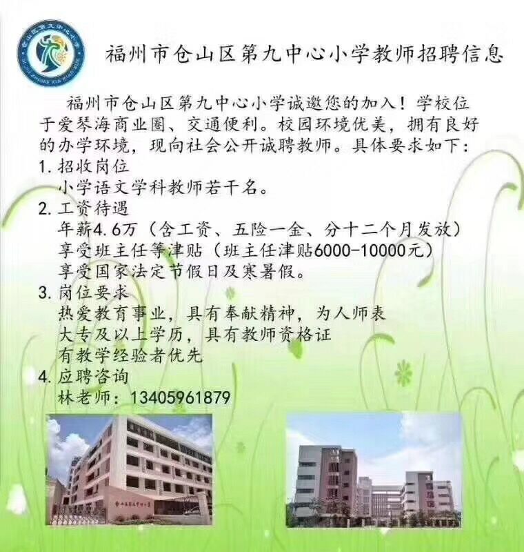 鲤城区小学最新招聘启事概览