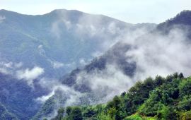 西绕村天气预报更新通知